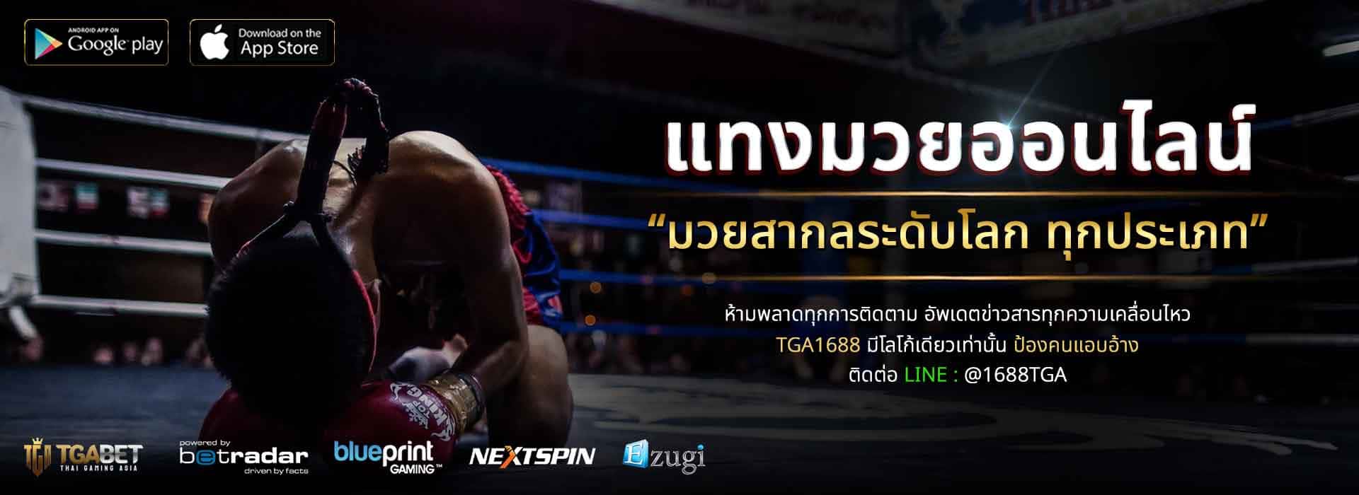 แทงมวยออนไลน์